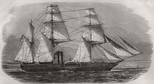 Steam ship tiger - h., m.