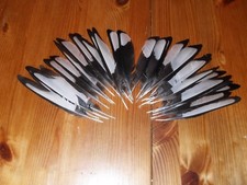 30 MAGPIE WING FEATHERS,NATIVE