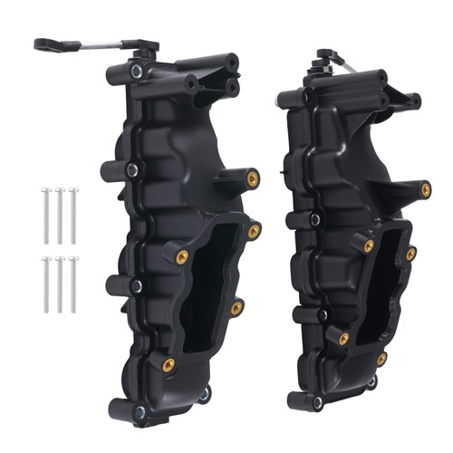 Two intake manifold - two, for