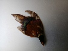 Real Scottish Plume, Pheasant Feather Brooch