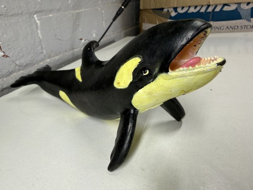 Orca killer whale - killer,