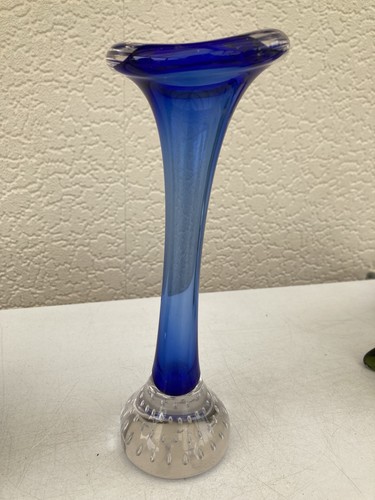 Jack the pulpit blue glass - in,