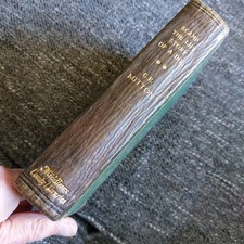 Scamp - The Life Story of A