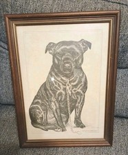 Pollyanna Pickering Dog Print Staffordshire Bull Terrier Framed Glass  45 X 35cm