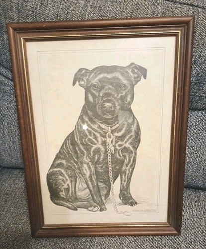 Pollyanna pickering dog print - pollyanna,