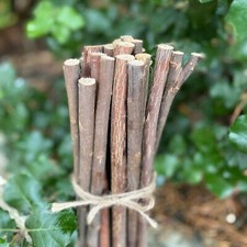 Plant Support Sticks Willow Pea & Bean Garden Canes Stakes 120cm (Pack of 20)