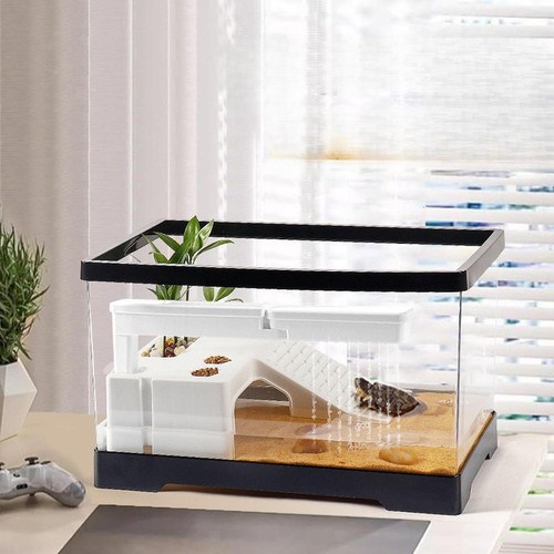 Turtle tank climbing basking - turtle,