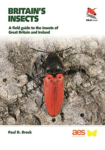 Britain insects a - a, field