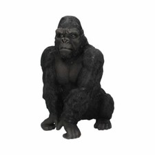 BIG KONG KING SILVER BACK