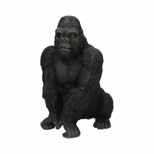 Big kong king silver back - kong,