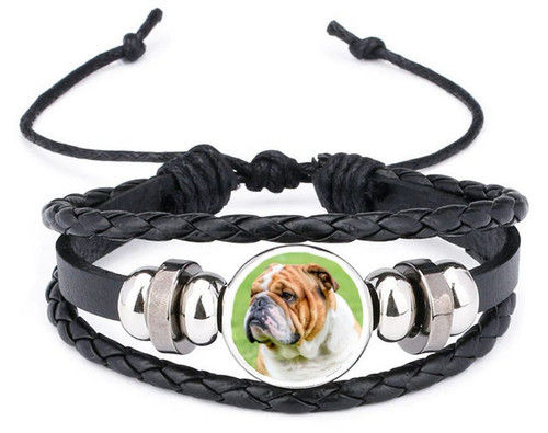 English bulldog dog black - bulldog,