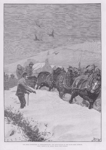 1886 antique print - antique,