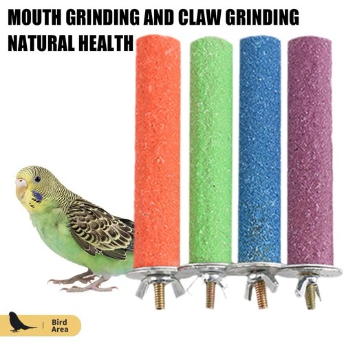 Bird perch beak claw - perch, –