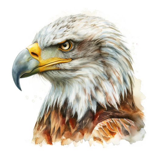 Bald eagle vinyl sticker - bald,