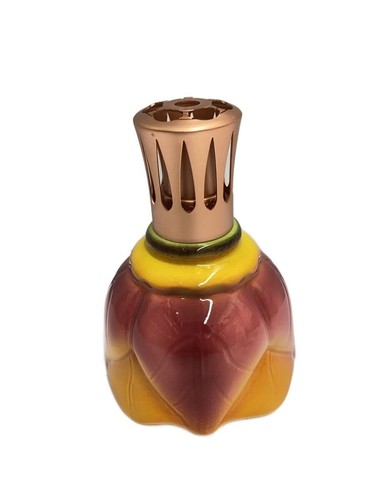 Lampe berger fragrance - berger, oil
