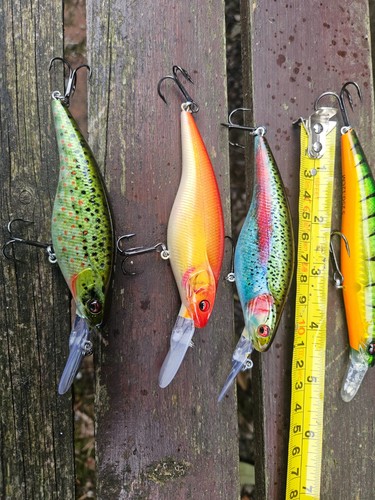 Prorex crankbaits 1 free - 3x,