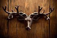 6 Hook Stag's Head Wall
