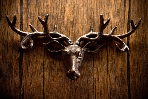 Hook stag head wall - head,