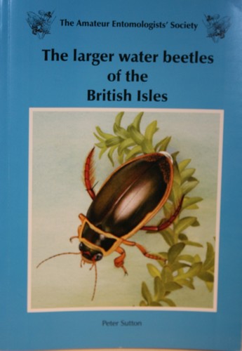 The larger water - beetles, of