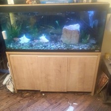 Fluval 175L Aquarium Fish Tank and Cabinet..come with Pump and Fiter and Filter