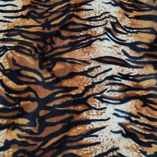 Tiger animal print - animal,