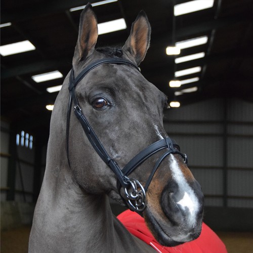 Whitaker ready ride snaffle - whitaker,