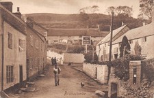 POSTCARD  DEVON  BRANSCOMBE