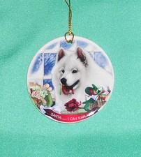 Samoyed dog  presents Circle