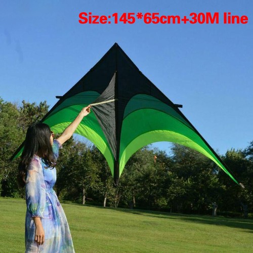 Large delta long tail flying - delta,