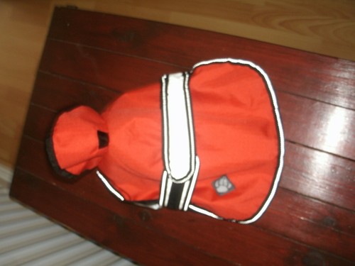 Dog coat danish design - dog, 2-1