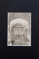 Martin dorking tiny - dorking,