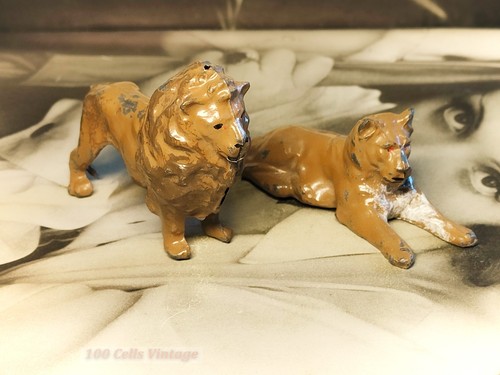 Lion and lioness - lion,