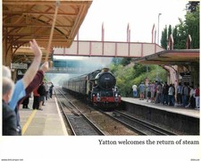 Trains - Stations with Trains