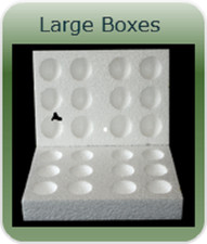 5 X 12 HOLE LARGE POLYSTYRENE