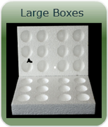 Hole large polystyrene - x 12,