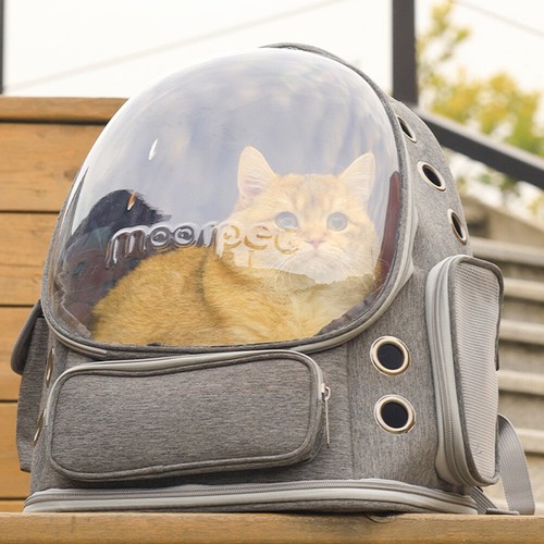 Large portable pet carrier - large,