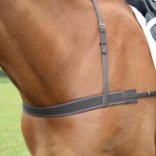 Shires Velociti GARA Elastic