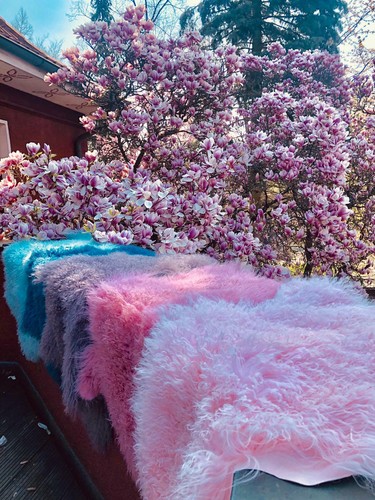 Sheepskin tibet original - sheepskin,