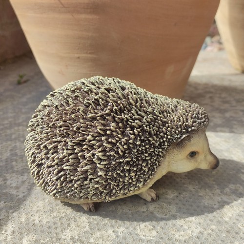 Vivid arts pygmy hedgehog - hedgehog, pet