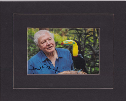 Sir david attenborough signed - sir,
