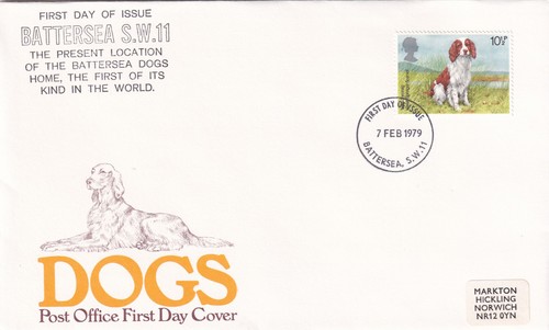 Springer spaniel dogs po - spaniel,