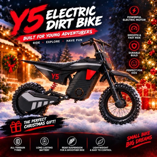 Kids electric bike 300w - electric,