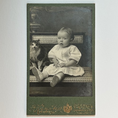 Antique cdv photograph - antique,