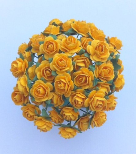 Golden yellow mulberry - golden,
