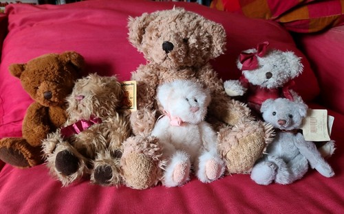 Russ bears soft trevor - soft,