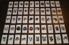 Full set players dogs - set, by
