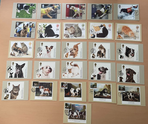 Phq cards cats dogs x4 - cards,