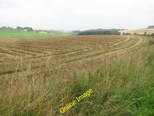 Photo 6x4 Harvested rape