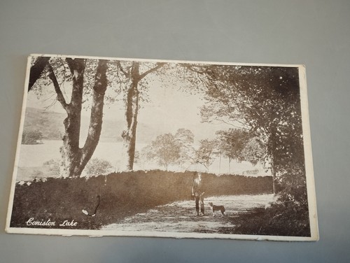 Vintage edwardian postcards - vintage,