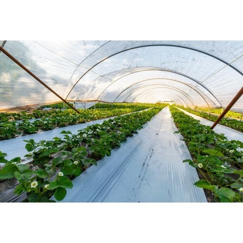 Farm plastic supply 4 year - supply,